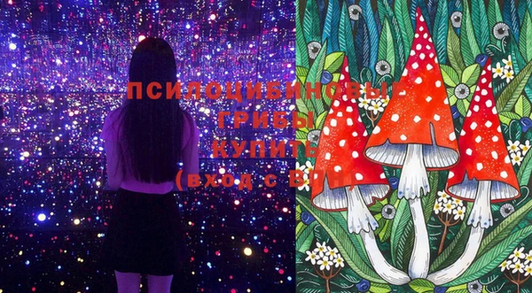 MDMA Алексеевка