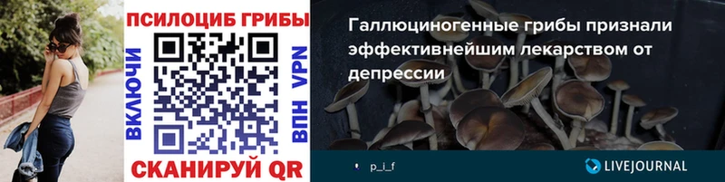 Галлюциногенные грибы мицелий  Новодвинск 