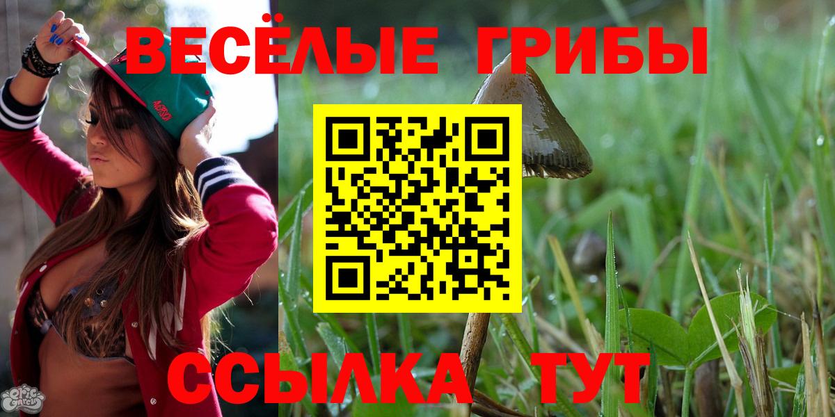 Псилоцибиновые грибы прущие грибы Новодвинск