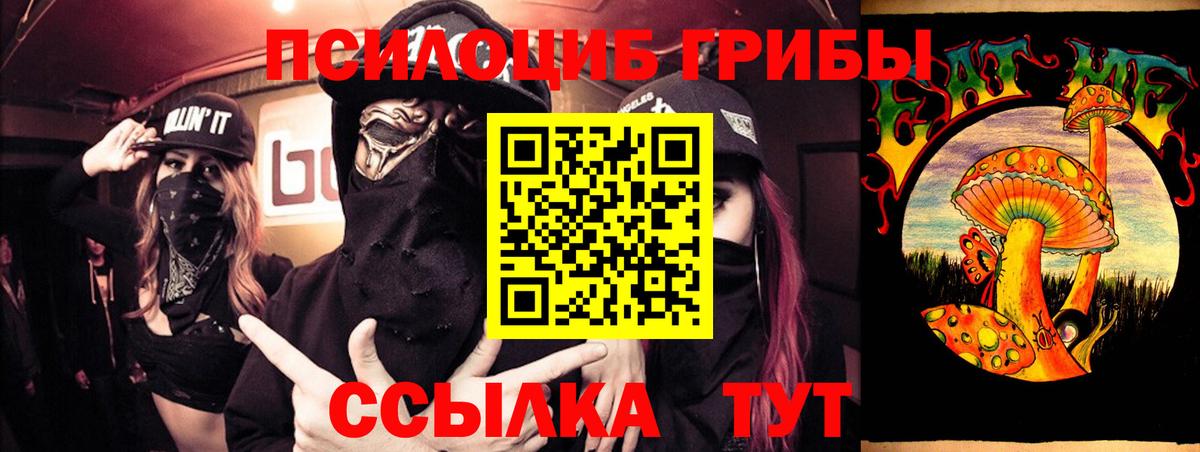 где найти   Псилоцибиновые грибы Magic Shrooms  Псилоцибиновые грибы Cubensis  Вход с VPN  Новодвинск 