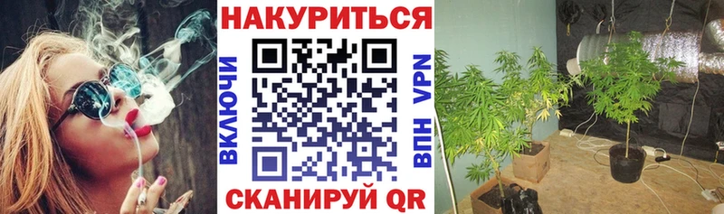 Конопля Bruce Banner  Новодвинск 